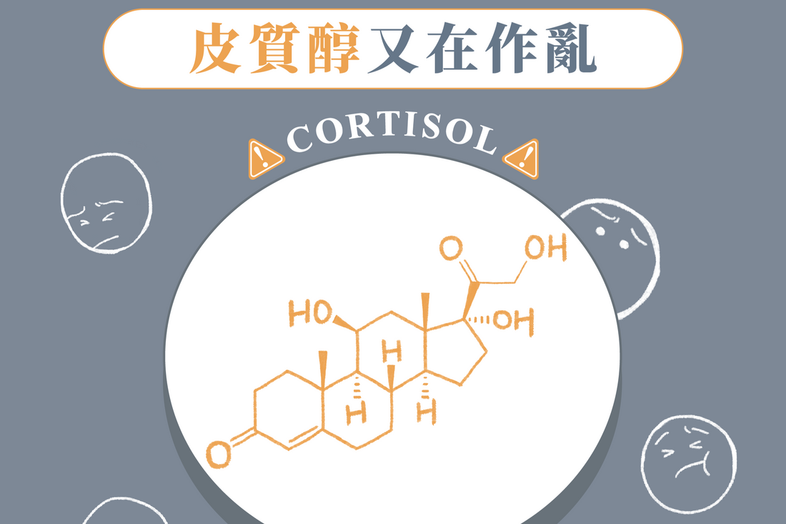 皮質醇又在作亂?如何降低壓力?吃可能是關鍵!