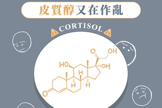 皮質醇又在作亂？如何降低壓力？吃可能是關鍵！